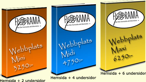 Webbplats midi fr&aring;n Florama webbyr&aring; kostar 4375:- + moms